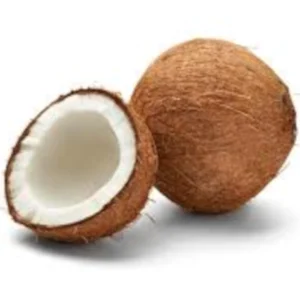 COCONUT , THENGAI