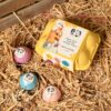 The Funny Farm Bath Fizzers in an Egg Box - "Chirpy Clean"